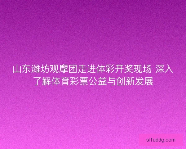 山东潍坊观摩团走进体彩开奖现场 深入了解体育彩票公益与创新发展