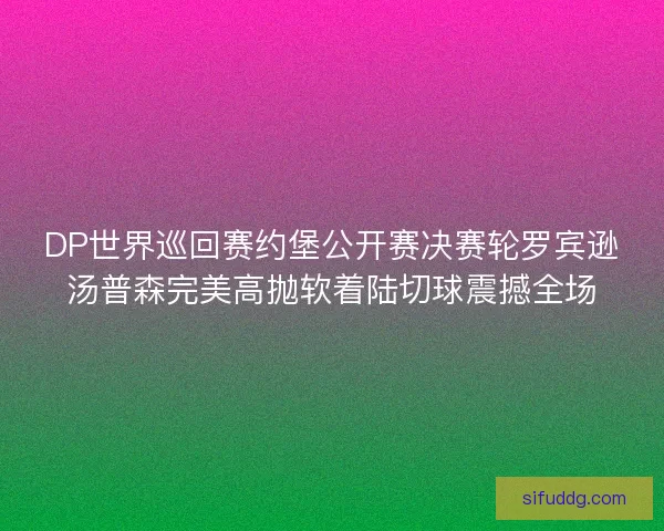 DP世界巡回赛约堡公开赛决赛轮罗宾逊汤普森完美高抛软着陆切球震撼全场 DP世界巡回赛约堡公开赛决赛轮罗宾逊汤普森完美高抛软着陆切球震撼全场