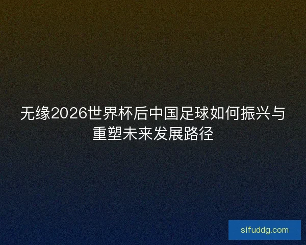 无缘2026世界杯后中国足球如何振兴与重塑未来发展路径